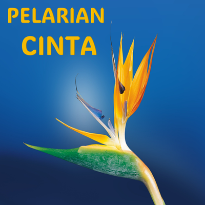 Pelarian Cinta (Acoustic)'s cover