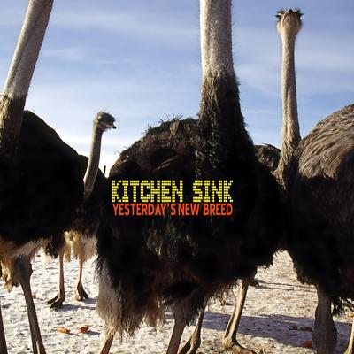 Kitchen Sink's cover