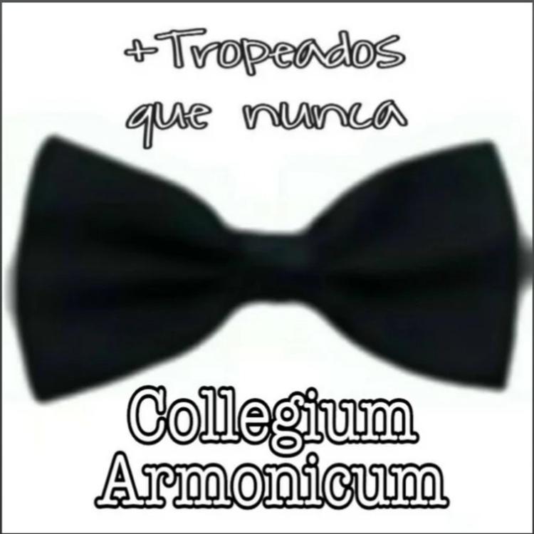 Collegium Armonicum's avatar image