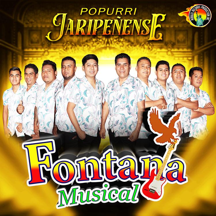 Fontana Musical's avatar image