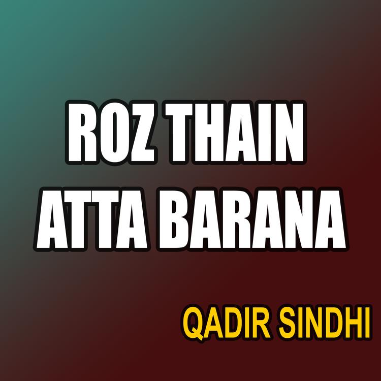 Qadir Sindhi's avatar image