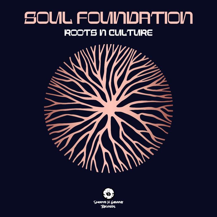 Soul Foundation's avatar image