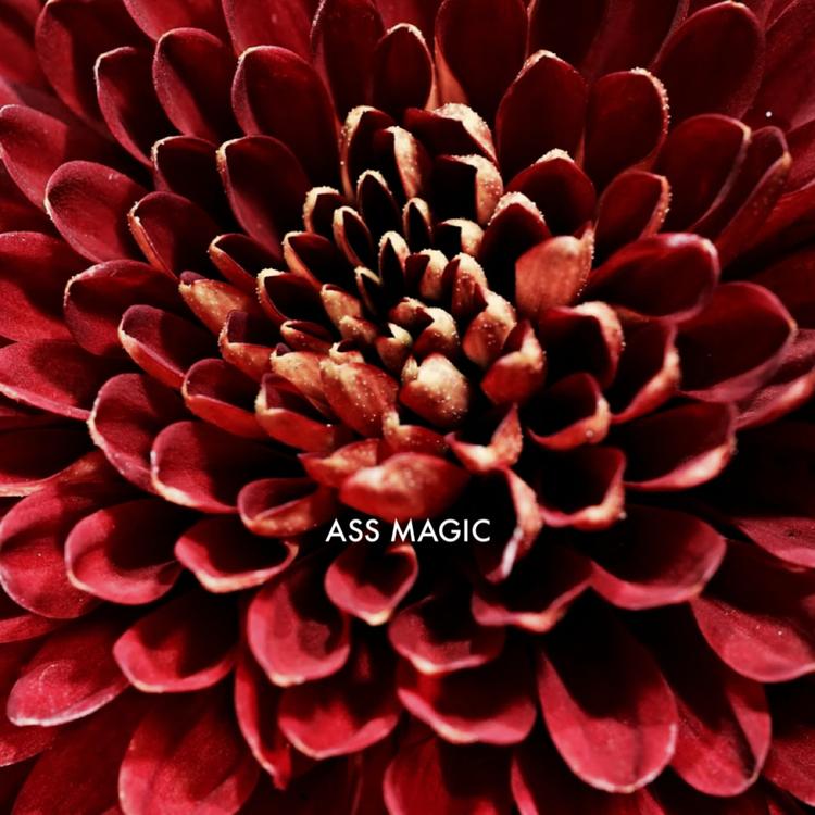 ASS MAGIC's avatar image