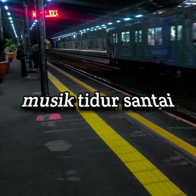 Musik Tidur Santai's cover