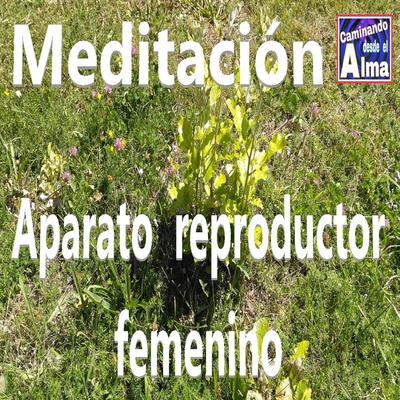 Meditación. Aparato reproductor femenino.'s cover