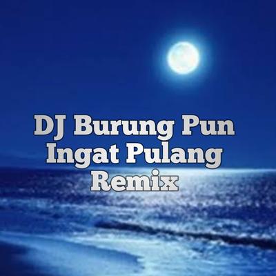 DJ Burung Pun Ingat Pulang Remix's cover