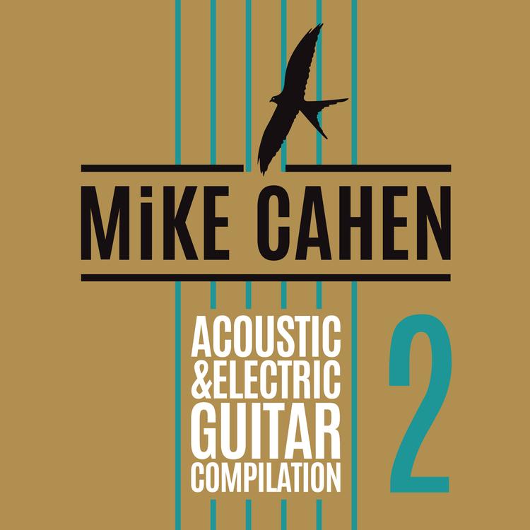 Mike Cahen's avatar image