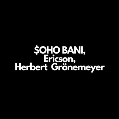 ZEIT, DASS SICH WAS DREHT By $OHO BANI, Ericson, Herbert Grönemeyer's cover