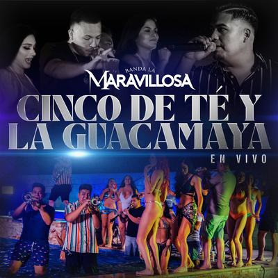 Banda La Maravillosa's cover