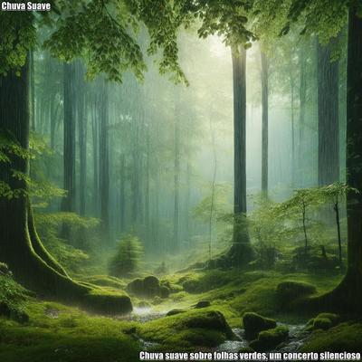 A Chuva e as Árvores, um Encontro Sonoro's cover