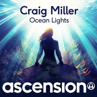 Craig Miller's cover