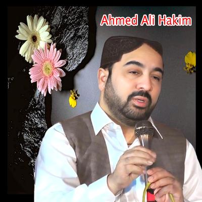 Ahmed Ali Hakim's cover