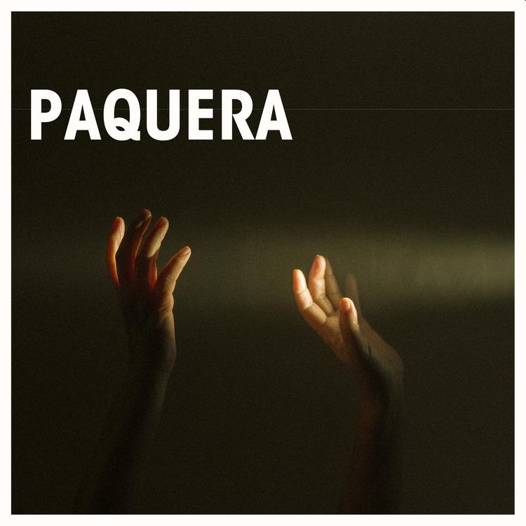 Paulo Paxin's avatar image