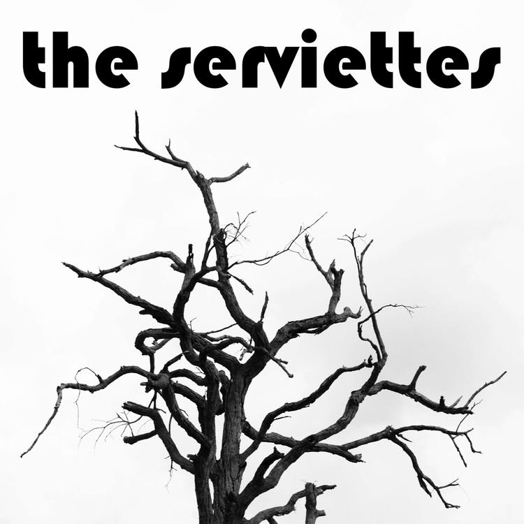 The Serviettes's avatar image