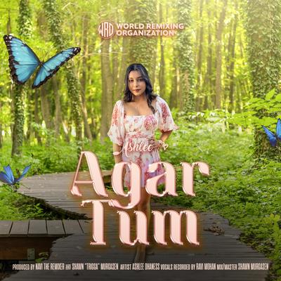 Agar Tum Mil Jao's cover