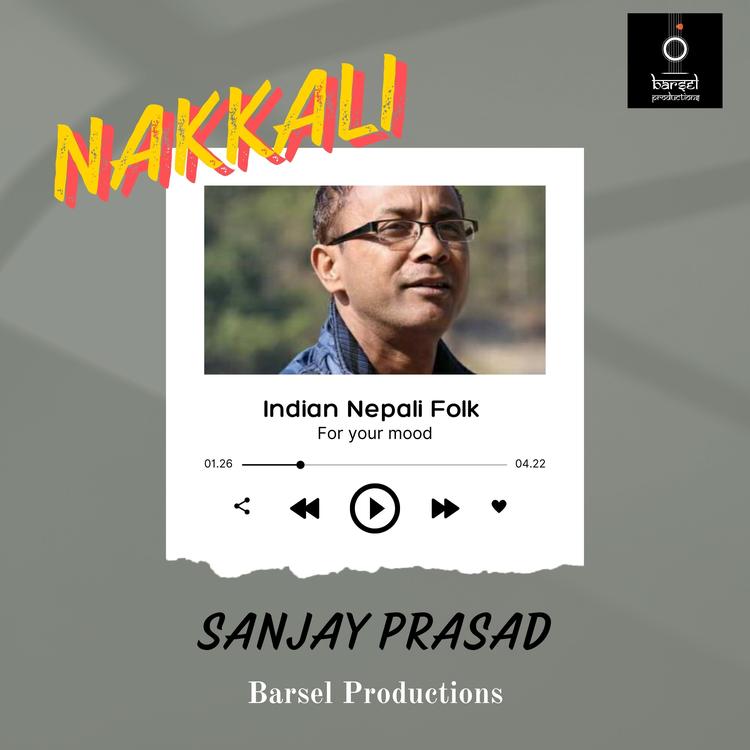 Sanjay Prasad's avatar image