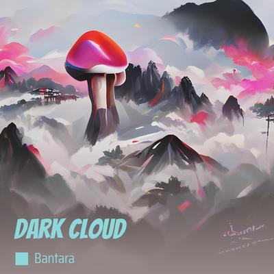 BANTARA's cover