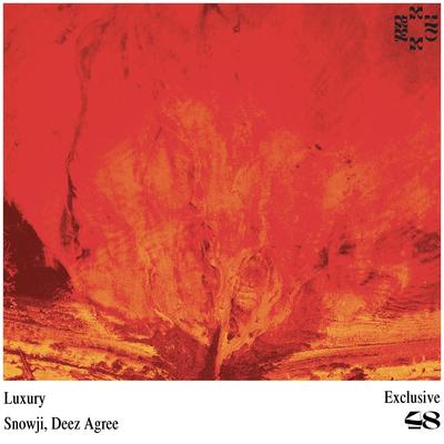 Luxury By Snowji, Deez Agree's cover