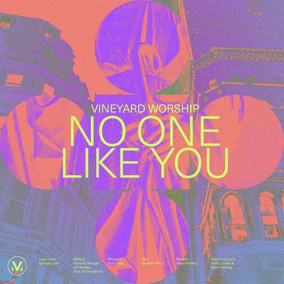 No One Like You (feat. Samuel Lane) By Vineyard Worship, Samuel Lane's cover