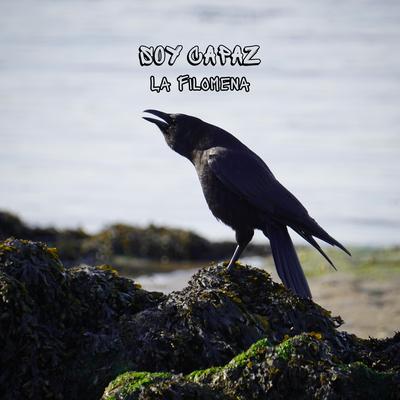 Soy Capaz By La Filomena's cover