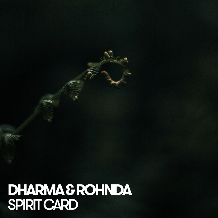 Dharma & Rohnda's avatar image