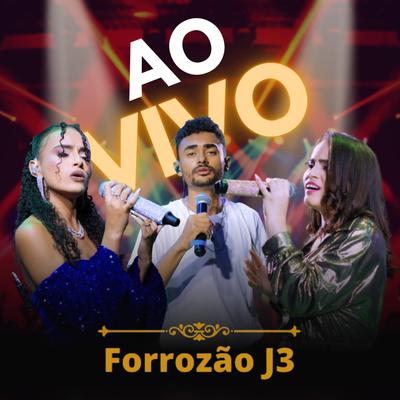Forrozão J3 Ao Vivo's cover