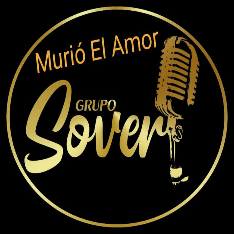 Grupo Sover's avatar image