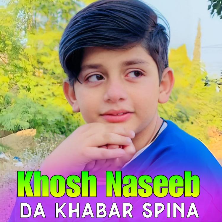 Khosh Naseeb's avatar image