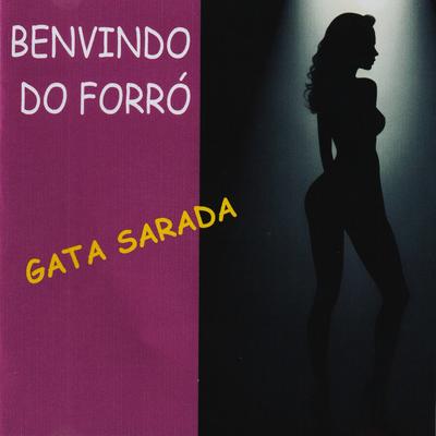 Tô Bebado Não's cover