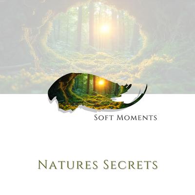 Natures Secrets's cover