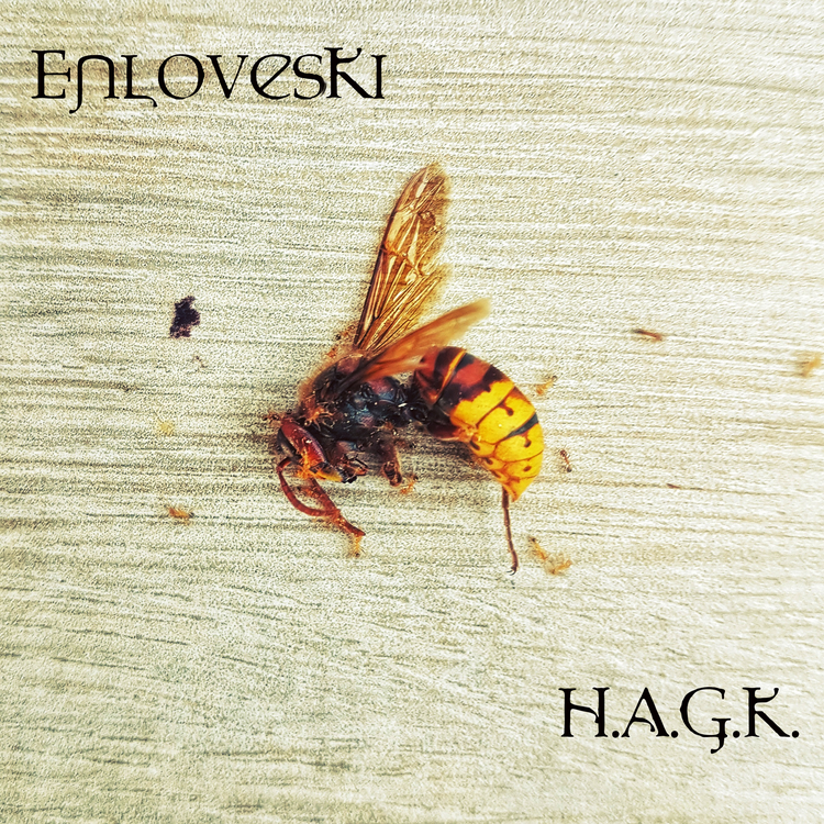 EnlovesKi's avatar image