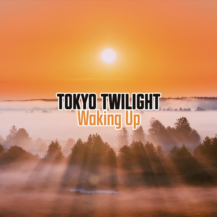 Tokyo Twilight's avatar image