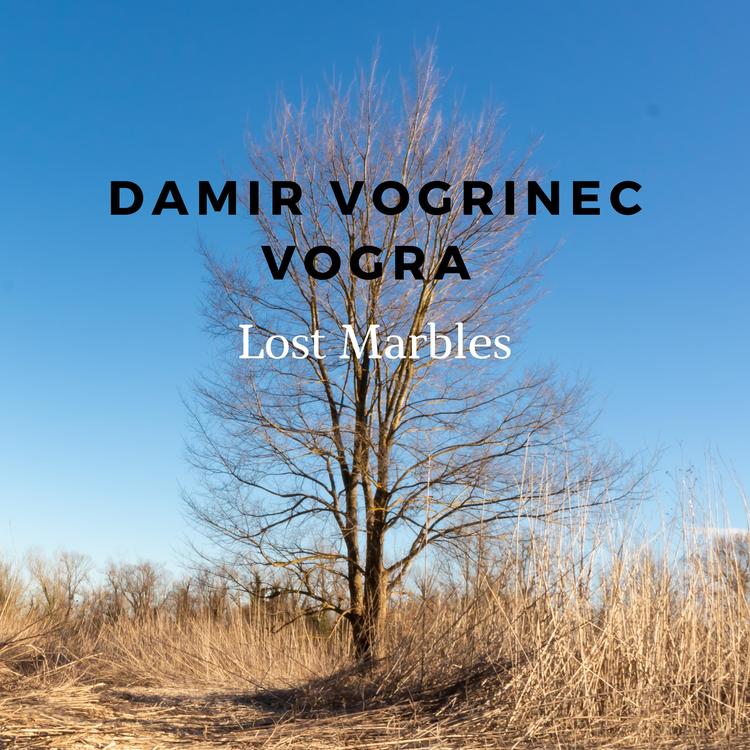 Damir Vogrinec Vogra's avatar image