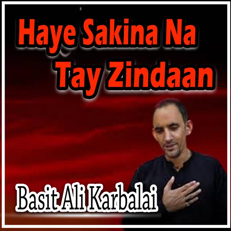 Basit Ali Karbalai's avatar image
