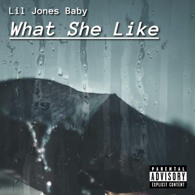 What She Like By Lil Jones Baby's cover