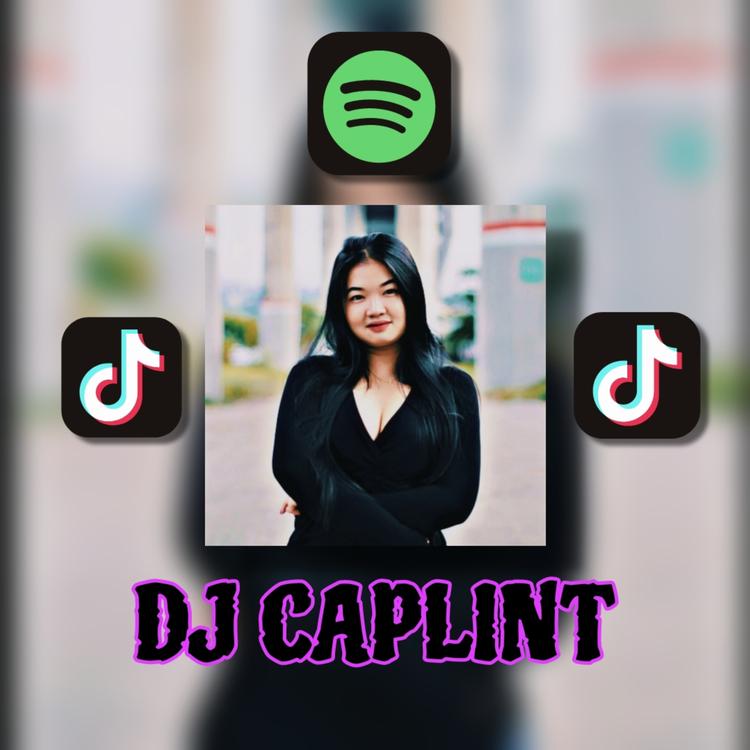 Dj Caplint's avatar image