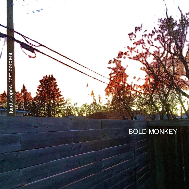 Bold Monkey's avatar image