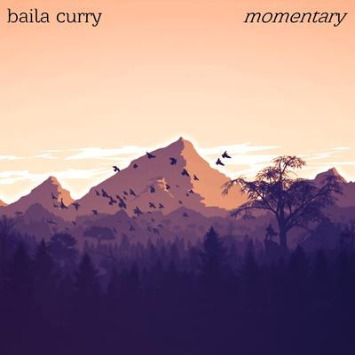 Momentary By Baila Curry's cover