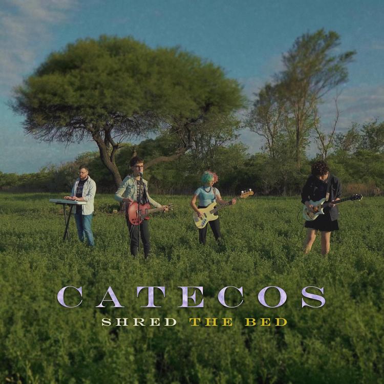 Catecos's avatar image