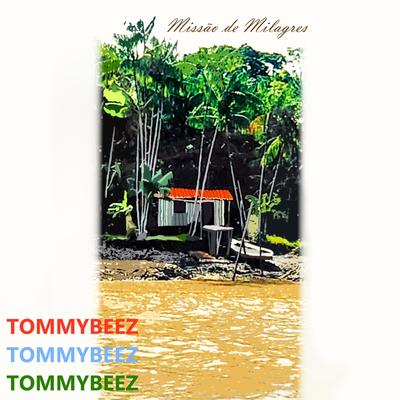 Missão de Milagres's cover