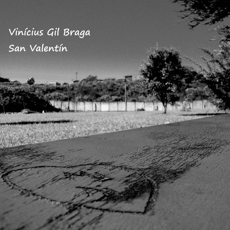 Vinícius Gil Braga's avatar image