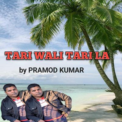 TARI WALI TARI LA's cover