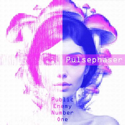 Public Enemy Number One By Pulsephaser's cover