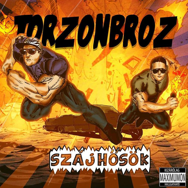 Torzonbroz's avatar image