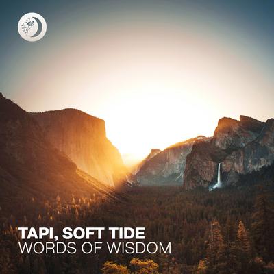 Words of Wisdom By Tapi, Soft Tide's cover