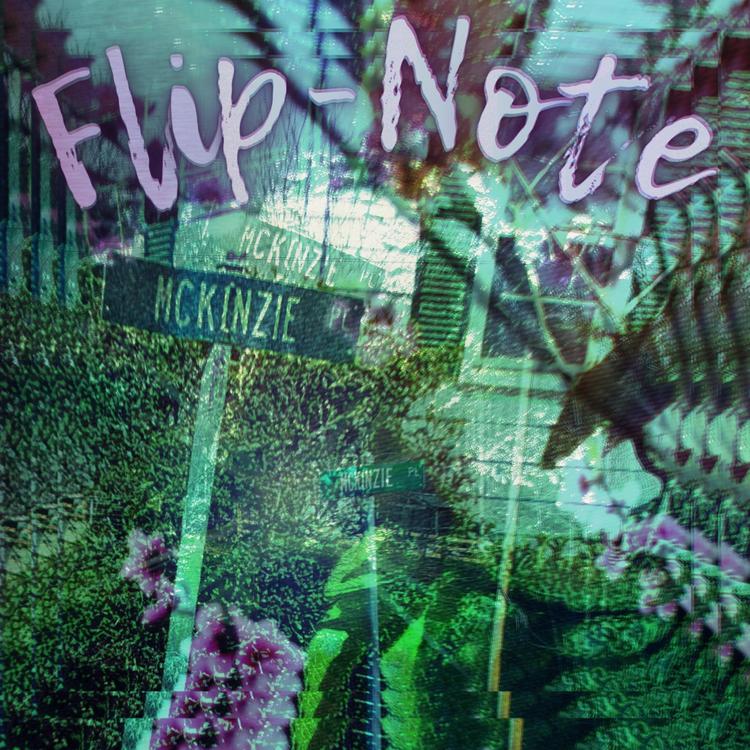 Flip-Note's avatar image