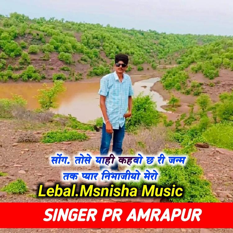 Singer Pr Amrapur's avatar image