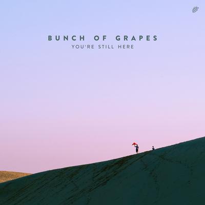 You’re Still Here By Bunch Of Grapes's cover