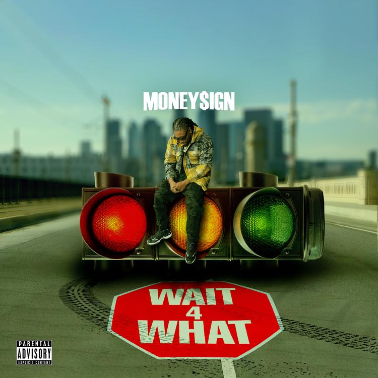 Money$ign's avatar image