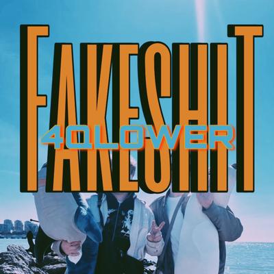 FakeShit's cover